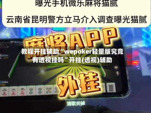 教程开挂辅助“wepoker轻量版究竟有透视挂吗”开挂(透视)辅助