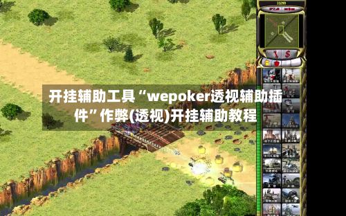 开挂辅助工具“wepoker透视辅助插件”作弊(透视)开挂辅助教程-第3张图片