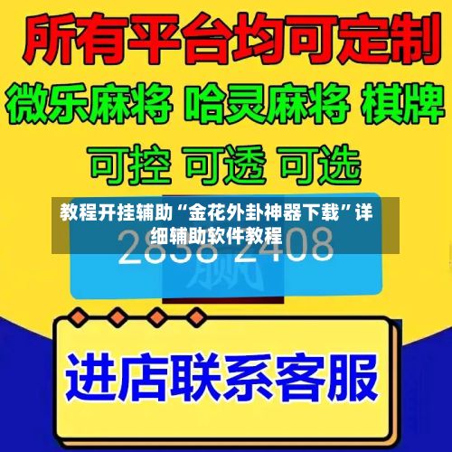 教程开挂辅助“金花外卦神器下载”详细辅助软件教程