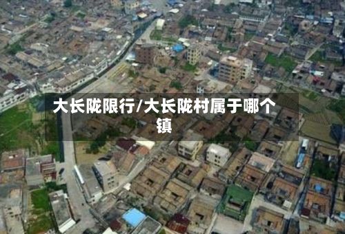 大长陇限行/大长陇村属于哪个镇