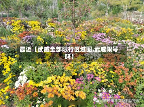 最近【武威全部限行区域图,武威限号吗】