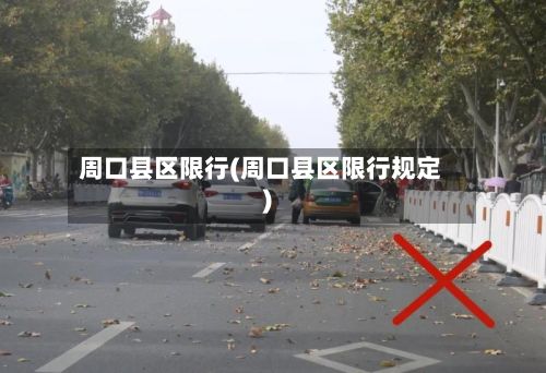 周口县区限行(周口县区限行规定)-第3张图片
