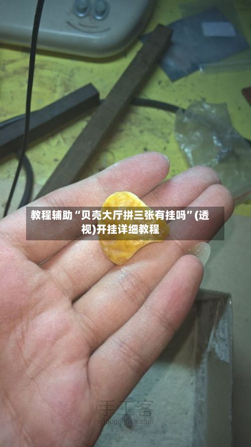 教程辅助“贝壳大厅拼三张有挂吗”(透视)开挂详细教程