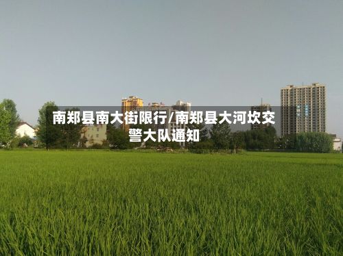 南郑县南大街限行/南郑县大河坎交警大队通知