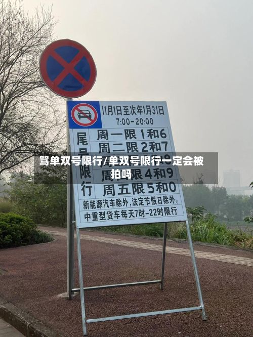 骂单双号限行/单双号限行一定会被拍吗