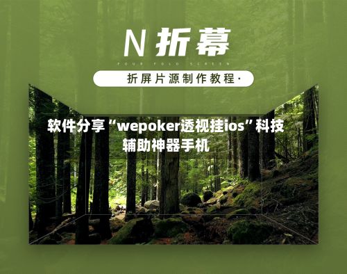 软件分享“wepoker透视挂ios”科技辅助神器手机-第2张图片