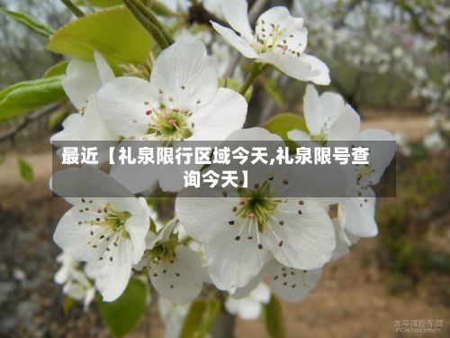 最近【礼泉限行区域今天,礼泉限号查询今天】-第2张图片