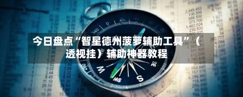 今日盘点“智星德州菠萝辅助工具”（透视挂）辅助神器教程-第2张图片