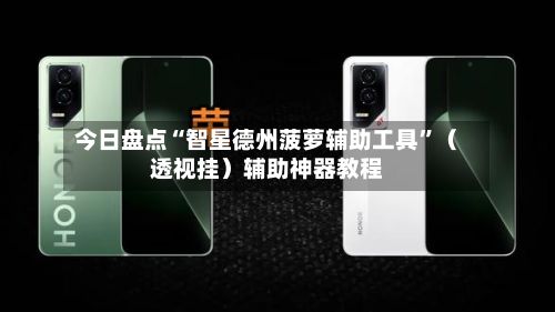 今日盘点“智星德州菠萝辅助工具	”（透视挂）辅助神器教程-第3张图片