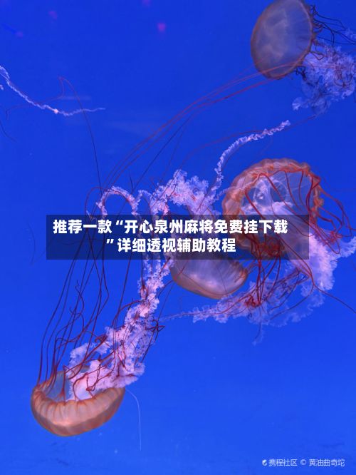 推荐一款“开心泉州麻将免费挂下载”详细透视辅助教程-第2张图片