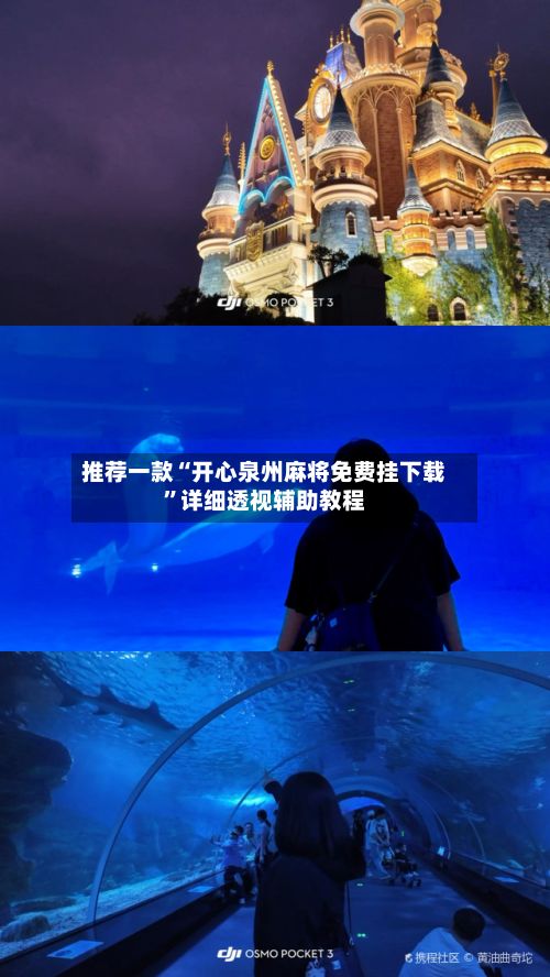推荐一款“开心泉州麻将免费挂下载”详细透视辅助教程