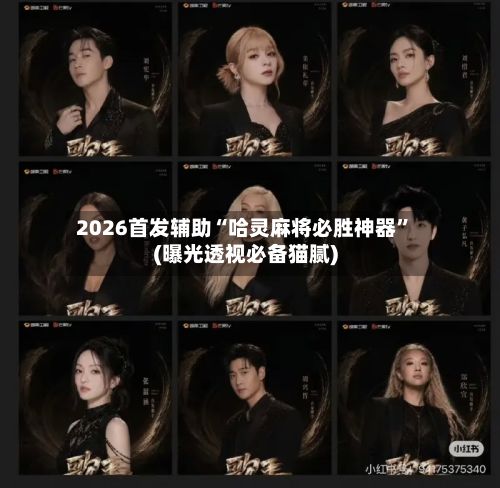 2026首发辅助“哈灵麻将必胜神器”(曝光透视必备猫腻)