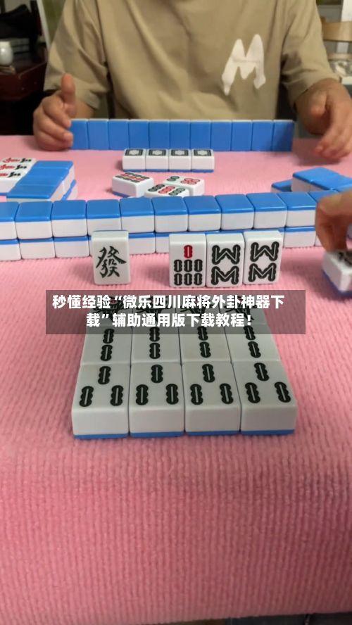 秒懂经验“微乐四川麻将外卦神器下载”辅助通用版下载教程！-第3张图片