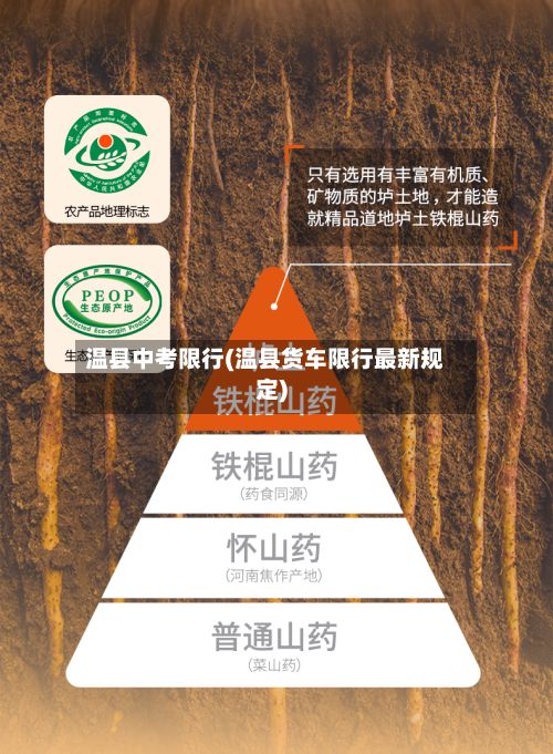 温县中考限行(温县货车限行最新规定)