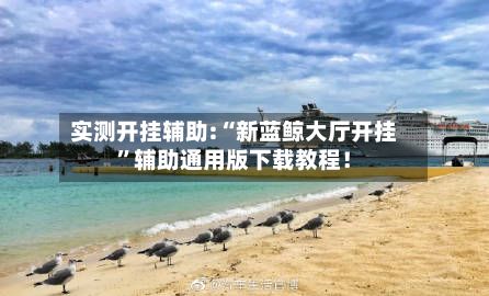 实测开挂辅助:“新蓝鲸大厅开挂”辅助通用版下载教程！