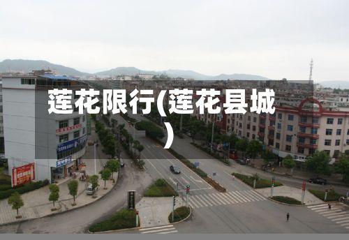 莲花限行(莲花县城)