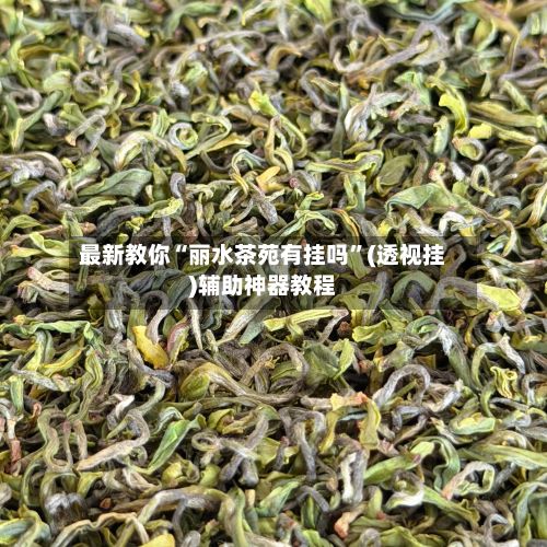最新教你“丽水茶苑有挂吗”(透视挂)辅助神器教程