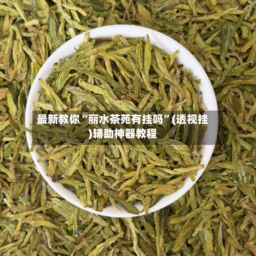 最新教你“丽水茶苑有挂吗”(透视挂)辅助神器教程-第2张图片