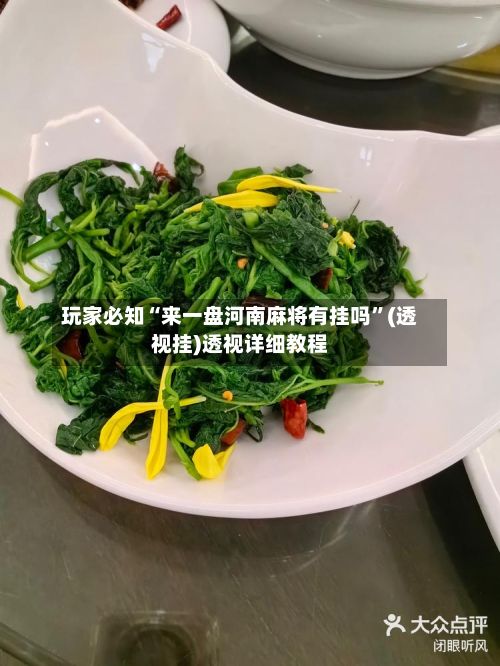玩家必知“来一盘河南麻将有挂吗”(透视挂)透视详细教程-第2张图片