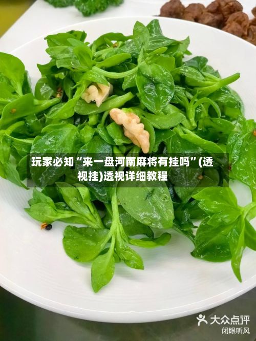 玩家必知“来一盘河南麻将有挂吗”(透视挂)透视详细教程