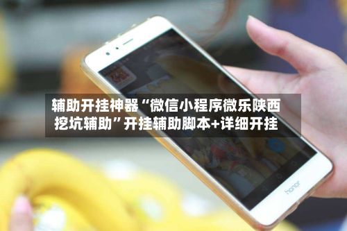 辅助开挂神器“微信小程序微乐陕西挖坑辅助”开挂辅助脚本+详细开挂