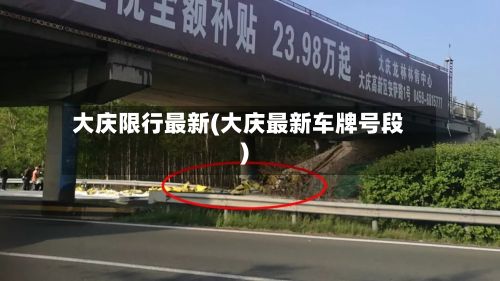 大庆限行最新(大庆最新车牌号段)