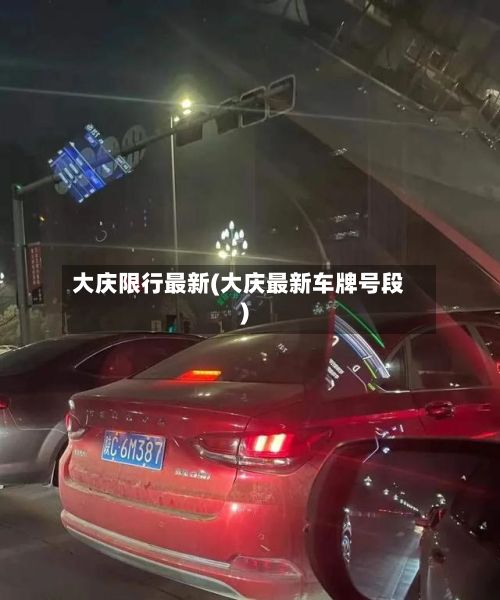 大庆限行最新(大庆最新车牌号段)-第3张图片