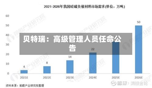 贝特瑞：高级管理人员任命公告