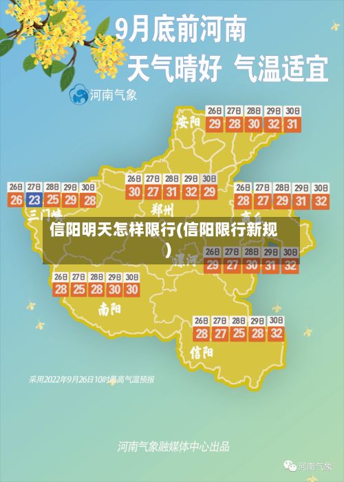 信阳明天怎样限行(信阳限行新规)