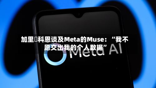 加里・科恩谈及Meta的Muse：“我不愿交出我的个人数据	”-第2张图片