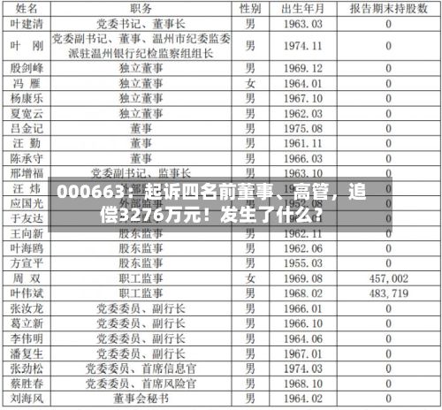 000663：起诉四名前董事	、高管	，追偿3276万元！发生了什么？-第2张图片