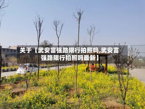 关于【武安富强路限行拍照吗,武安富强路限行拍照吗最新】-第3张图片