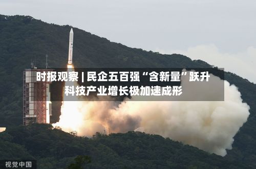 时报观察 | 民企五百强“含新量”跃升 科技产业增长极加速成形-第2张图片