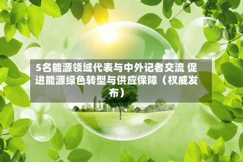 5名能源领域代表与中外记者交流 促进能源绿色转型与供应保障（权威发布）-第3张图片