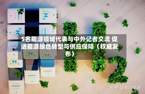 5名能源领域代表与中外记者交流 促进能源绿色转型与供应保障（权威发布）-第2张图片
