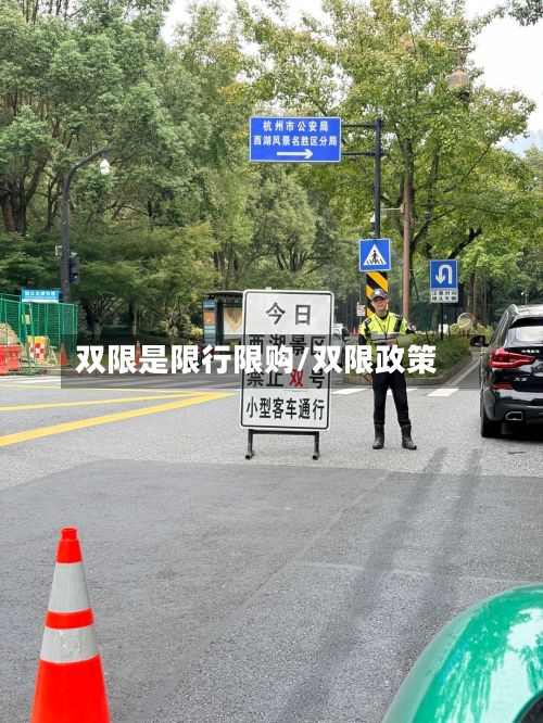 双限是限行限购/双限政策