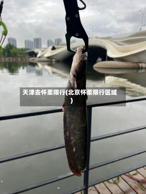 天津去怀柔限行(北京怀柔限行区域)