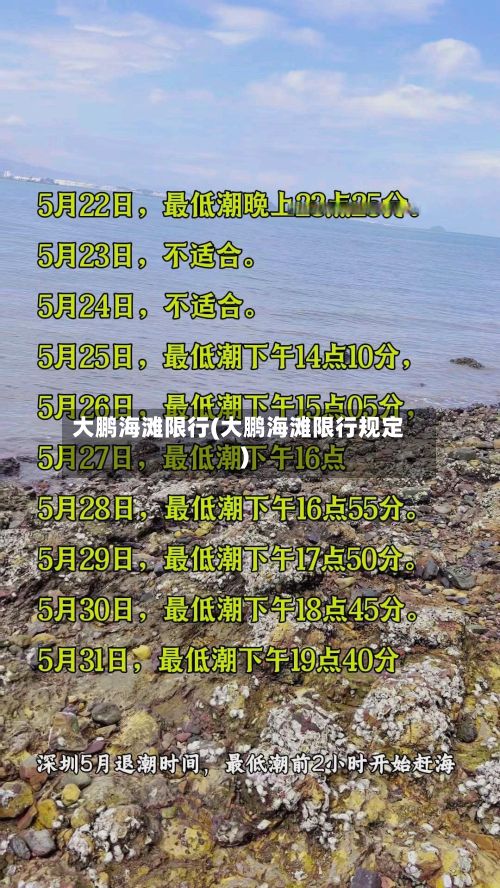 大鹏海滩限行(大鹏海滩限行规定)