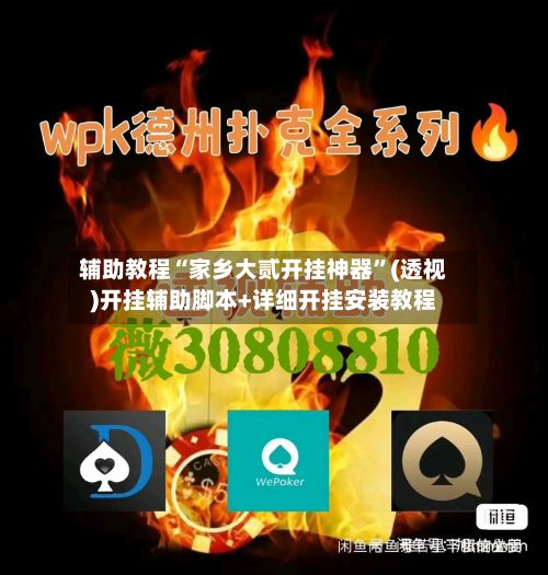 辅助教程“家乡大贰开挂神器	”(透视)开挂辅助脚本+详细开挂安装教程-第2张图片