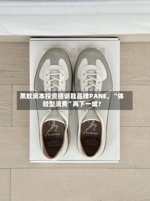 黑蚁资本投资德训鞋品牌PANE	，“体验型消费”再下一城？-第2张图片