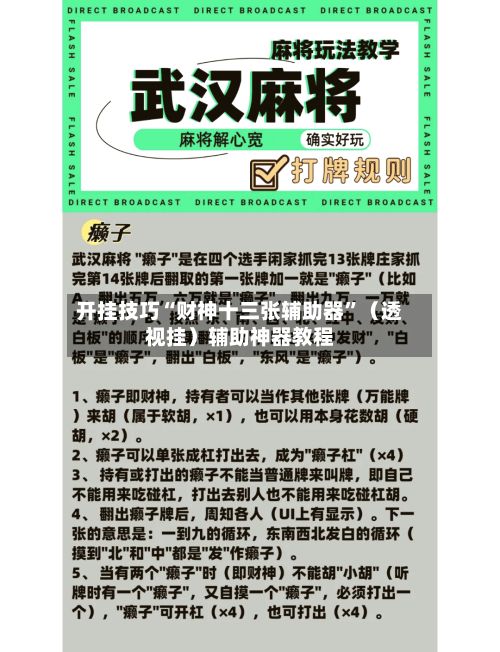 开挂技巧“财神十三张辅助器”（透视挂）辅助神器教程-第2张图片