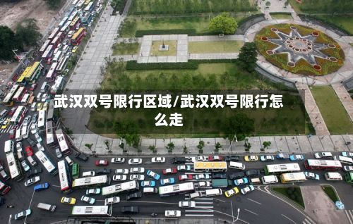 武汉双号限行区域/武汉双号限行怎么走-第3张图片