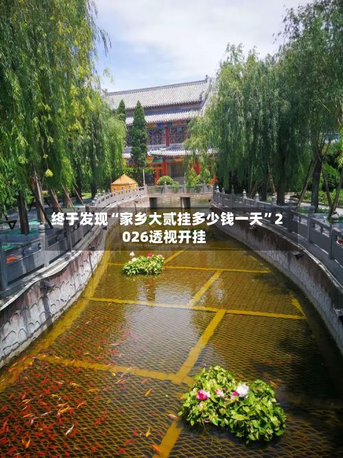 终于发现“家乡大贰挂多少钱一天”2026透视开挂-第3张图片
