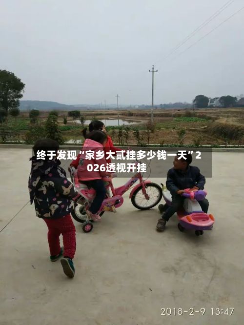 终于发现“家乡大贰挂多少钱一天”2026透视开挂-第2张图片