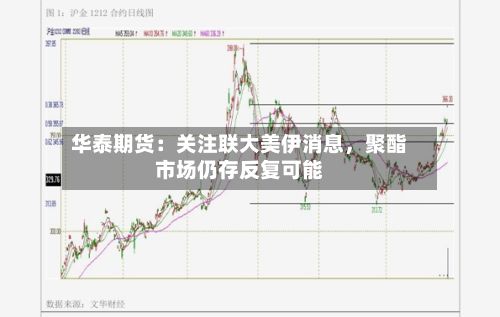 华泰期货：关注联大美伊消息	，聚酯市场仍存反复可能-第1张图片