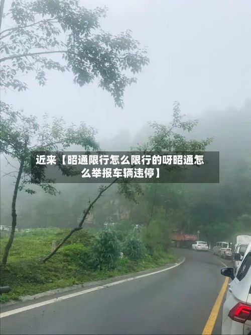 近来【昭通限行怎么限行的呀昭通怎么举报车辆违停】-第2张图片