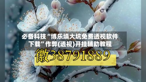 必备科技“博乐填大坑免费透视软件下载”作弊(透视)开挂辅助教程