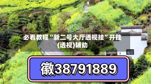 必看教程“新二号大厅透视挂”开挂(透视)辅助-第2张图片