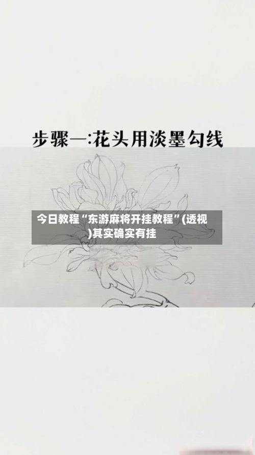今日教程“东游麻将开挂教程”(透视)其实确实有挂