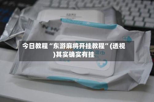 今日教程“东游麻将开挂教程”(透视)其实确实有挂-第3张图片